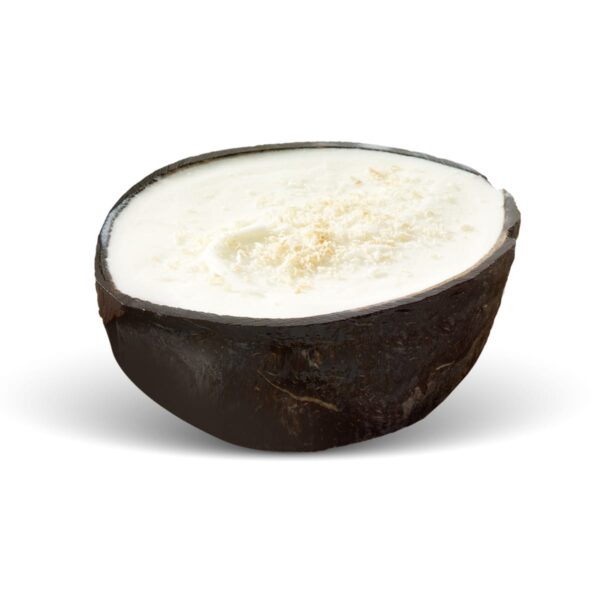 Sorbet Coconut Island Way servi dans une coque de noix de coco naturelle